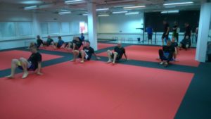MMA Kerava